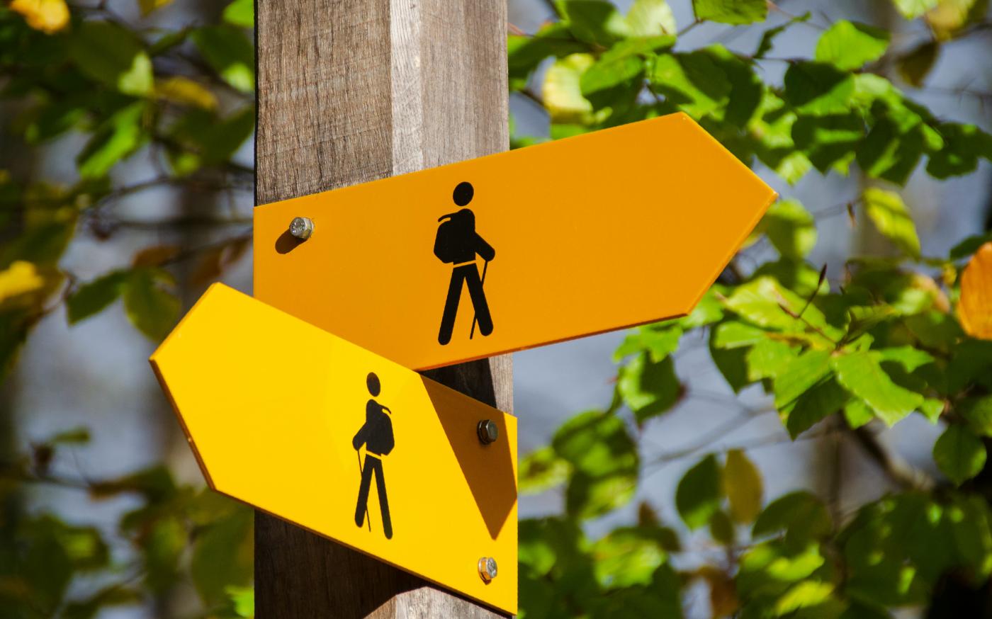 yellow road signage at daytime by Robert Ruggiero courtesy of Unsplash.