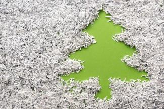 Shredded tree_0